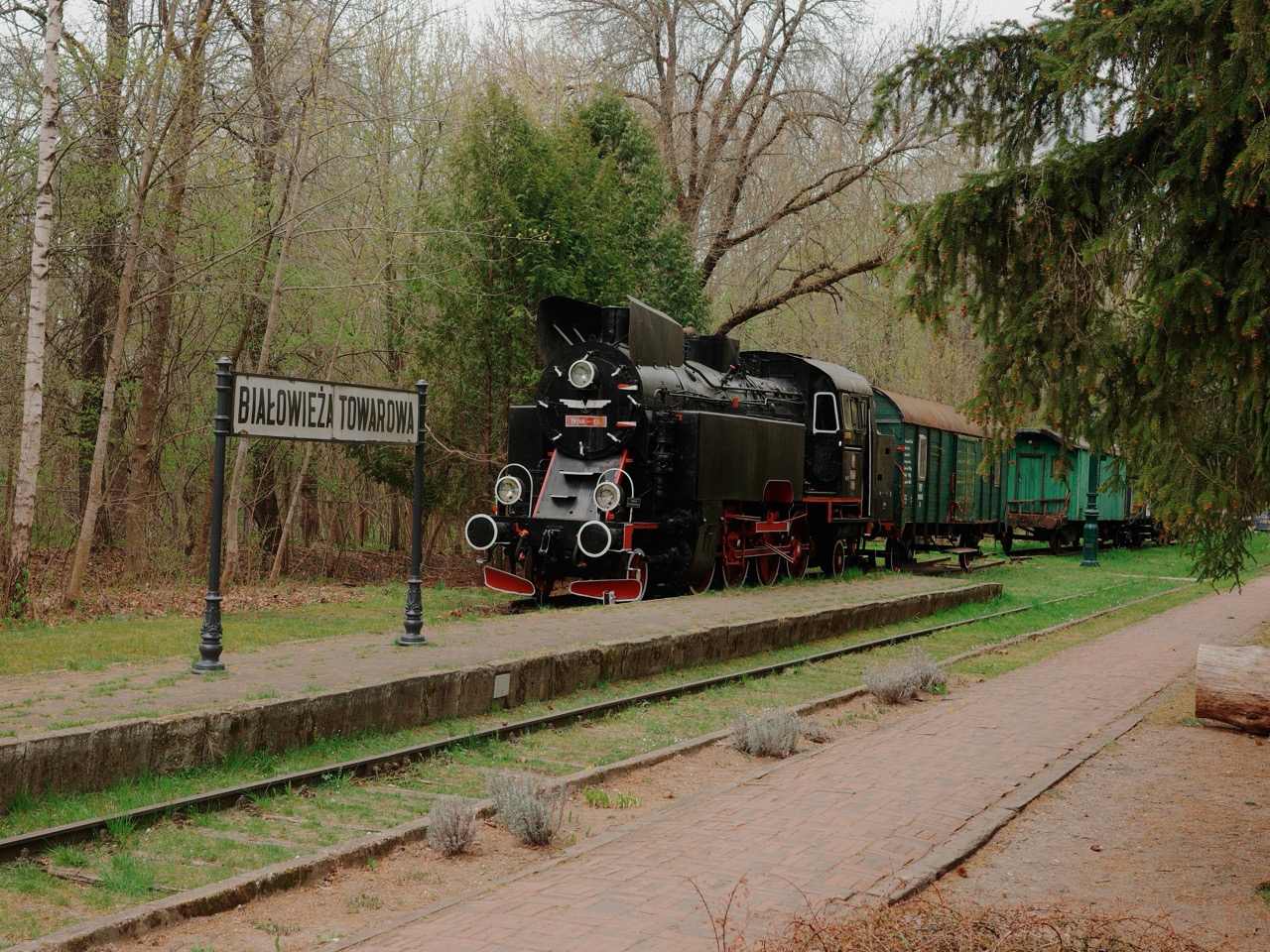 Steam locomotive at Białowieża Towarowa station
