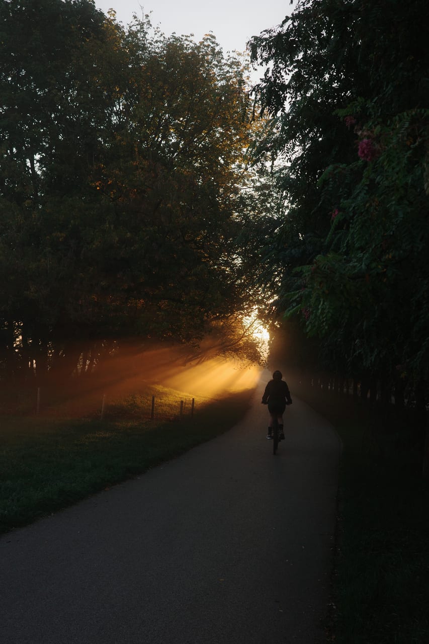 Cyclist on a forest path in shafts of golden light