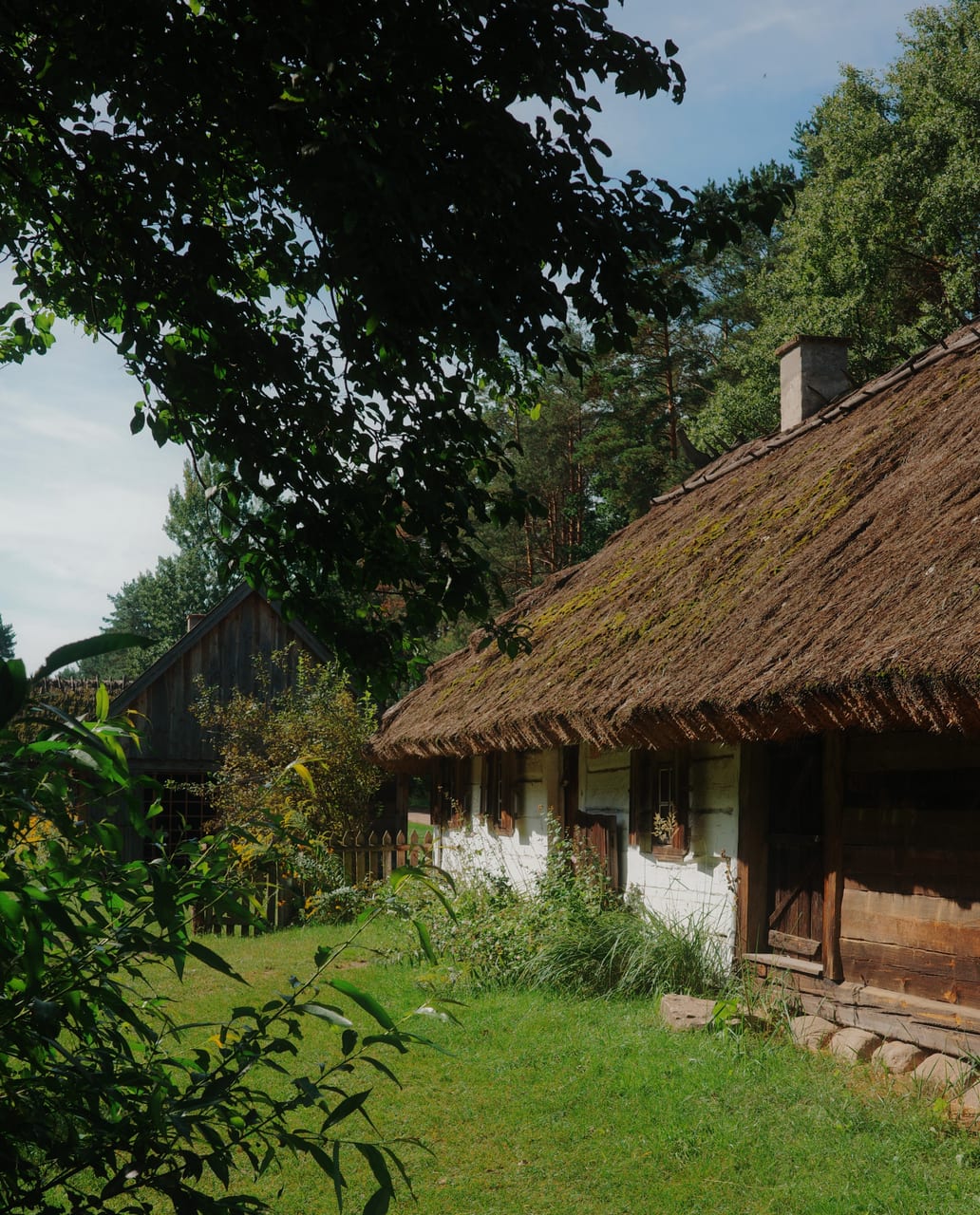 Whitewashed cottage with a thatched roof in a forest clearing
