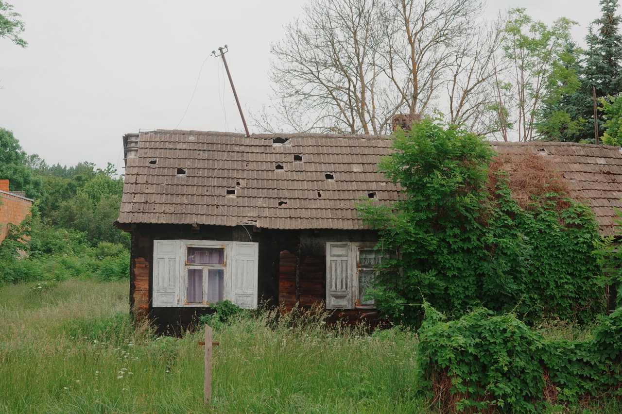 Weathered wooden cottage with peeling white shutters, half-covered in bushes